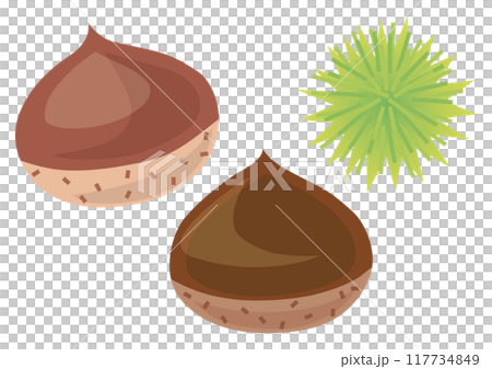 Chestnut Set 3 117734849