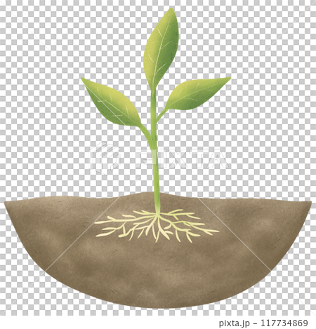 Illustration of garden, hand drawing set of soil, sprout, garden, clay Illustration of garden, hand drawing set of soil, sprout, garden, clay 117734869