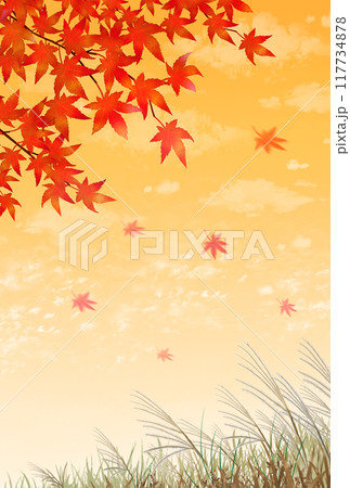 紅葉とススキ　夕焼け　秋の風景　縦長 117734878