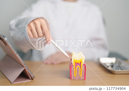 Dentist with tooth Anatomy model. Oral Teeth decay and disease, Scrape off tartar. March Oral health, Dentist Day, False Teeth. Toothache and Children Dental Health Month and Orthodontic Health Day Dentist with tooth Anatomy model. Oral Teeth decay and disease, Scrape off tartar. March Oral health, Dentist Day, False Teeth. Toothache and Children Dental Health Month and Orthodontic Health Day 117734904
