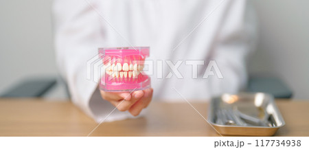 Dentist with tooth Anatomy model. Oral Teeth and disease, Scrape off tartar. March Oral health, Dentist Day, False Teeth. Toothache and Children Dental Health Month and Orthodontic Health Day Dentist with tooth Anatomy model. Oral Teeth and disease, Scrape off tartar. March Oral health, Dentist Day, False Teeth. Toothache and Children Dental Health Month and Orthodontic Health Day 117734938