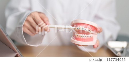 Dentist with Orthodontic tooth model and bracket or brace. Clean and Scrape off tartar. May Orthodontic Health Day, March Oral health, Dentist Day, False Teeth. Toothache and Children Dental Health 117734953