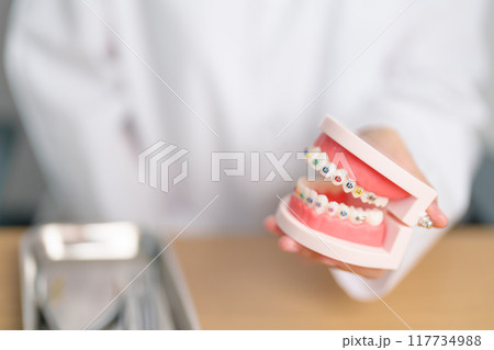 Dentist with Orthodontic tooth model and bracket or brace. Clean and Scrape off tartar. May Orthodontic Health Day, March Oral health, Dentist Day, False Teeth. Toothache and Children Dental Health 117734988
