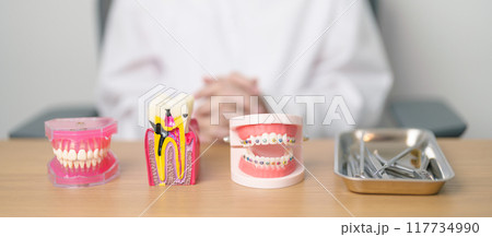 Tooth Anatomy and Orthodontic model on dentist table. Oral Teeth and disease. March Oral health, Dentist Day, False Teeth. Toothache and Children Dental Health Month and May Orthodontic Health Day 117734990