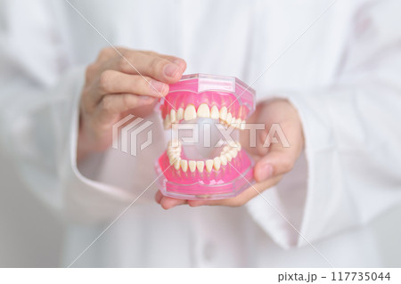 Dentist with tooth Anatomy model. Oral Teeth and disease, Scrape off tartar. March Oral health, Dentist Day, False Teeth. Toothache and Children Dental Health Month and Orthodontic Health Day Dentist with tooth Anatomy model. Oral Teeth and disease, Scrape off tartar. March Oral health, Dentist Day, False Teeth. Toothache and Children Dental Health Month and Orthodontic Health Day 117735044