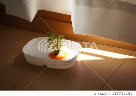 にんじん再利用 117735153