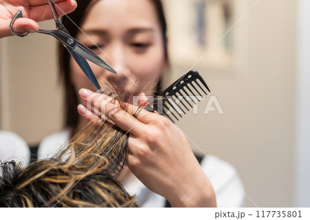 beauty parlor 117735801