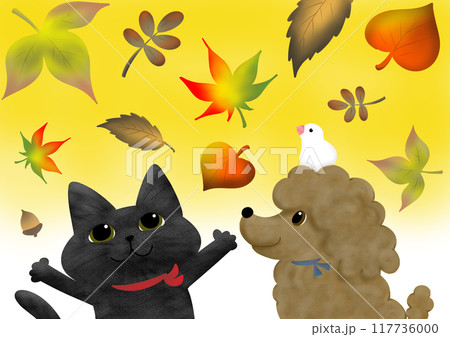 秋の紅葉を見上げる猫と犬そして文鳥_黄色 117736000