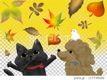 秋の紅葉を見上げる猫と犬そして文鳥_黄色 117736000