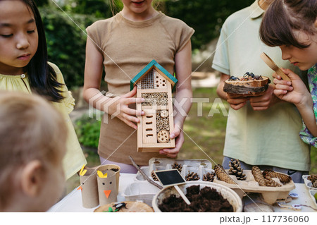 Insect hotel as educational tool for children in outdoor sustainable educational class. Young students learning about insect and biodiversity. 117736060
