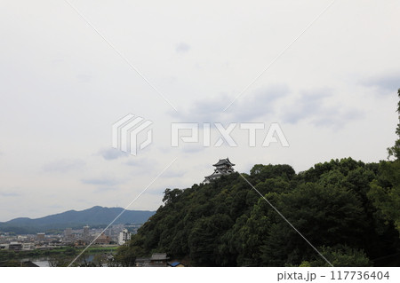 小高い丘にそびえる国宝犬山城天守閣 小高い丘にそびえる国宝犬山城天守閣 117736404