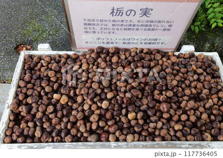下呂温泉朝市の店前にあった栃の実 117736405