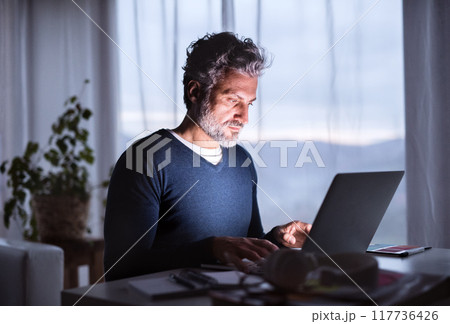 Handsome man working from home office at evening, using laptop. Screen glow illuminates man's face. Telecommuting and home office. 117736426