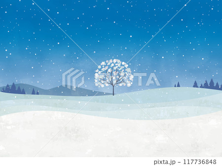 夜の雪の風景と白い木 117736848