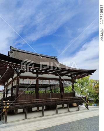青空とのコントラストが美しい松尾大社拝殿 青空とのコントラストが美しい松尾大社拝殿 117736957