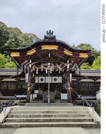 厳かな雰囲気が漂う松尾大社本殿 厳かな雰囲気が漂う松尾大社本殿 117736958