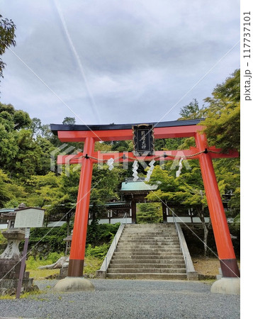 京都・月読神社の鳥居 117737101