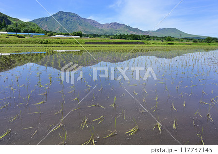 一の宮町から見た阿蘇山 一の宮町から見た阿蘇山 117737145