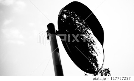 カーブミラー カーブミラー 117737257