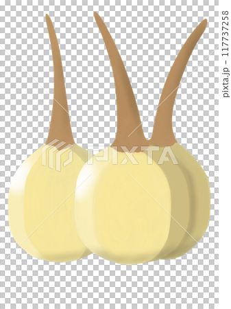 Kuwai Kuwai 117737258