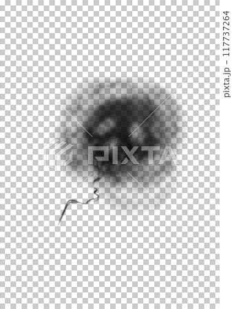 ドクロの形に漂う黒煙 ドクロの形に漂う黒煙 117737264
