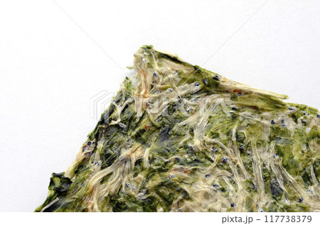 たたみいわし 117738379