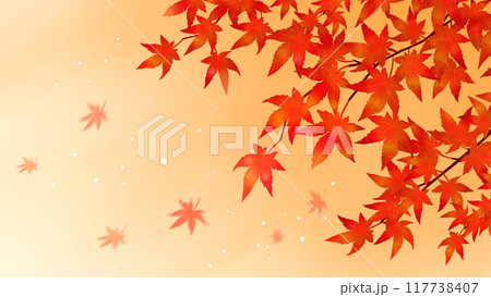 紅葉　秋の風景　16:9 117738407