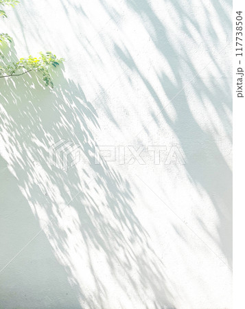 植物　影　光　日差し 117738504