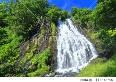 【北海道】快晴の知床のオシンコシンの滝 117738790