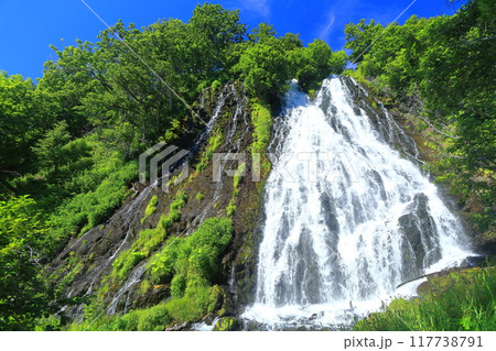 【北海道】快晴の知床のオシンコシンの滝 【北海道】快晴の知床のオシンコシンの滝 117738791