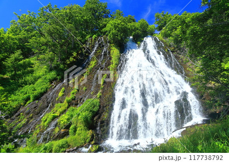【北海道】快晴の知床のオシンコシンの滝 117738792