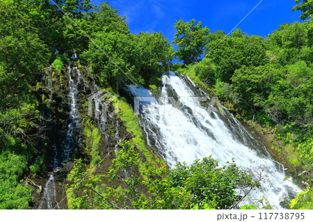 【北海道】快晴の知床のオシンコシンの滝 117738795