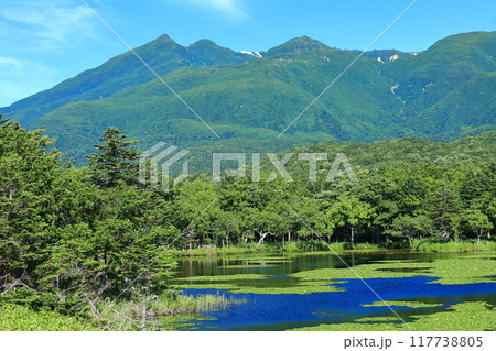 【北海道】晴天下の知床連山と知床五湖 117738805