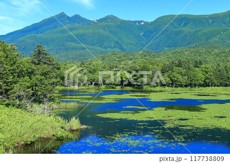 【北海道】晴天下の知床連山と知床五湖 117738809
