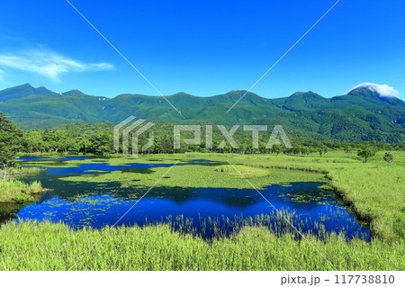 【北海道】晴天下の知床連山と知床五湖 117738810