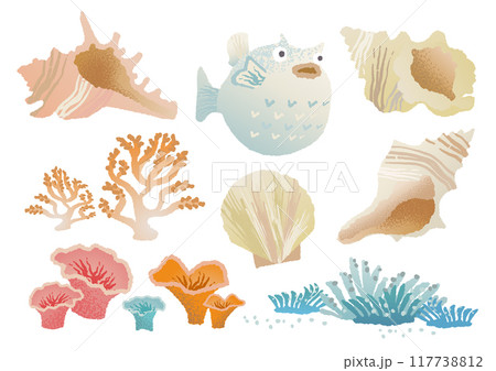 海の生き物のイラストセット 117738812