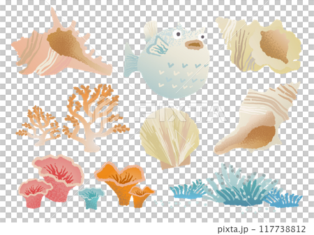 海の生き物のイラストセット 117738812