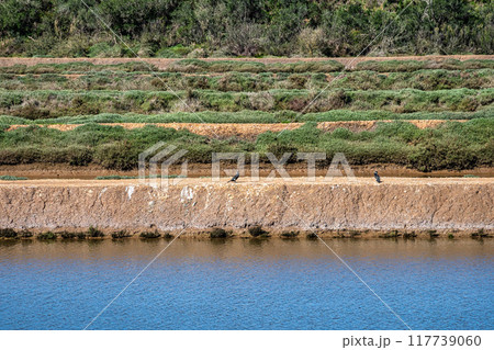 Walking from Troviscais to the River Mira, Vicentine Coast Natural Park Portugal, Rota Vicentina Coast. Walking from Troviscais to the River Mira, Vicentine Coast Natural Park Portugal, Rota Vicentina Coast. 117739060