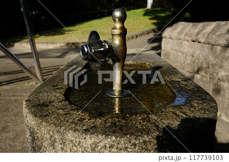 公園の水飲み場 公園の水飲み場 117739103