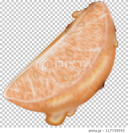 Orange tanghulu candied coating syrup of Chinese snacks fruits,Sweet dessert skewer hand drawn illustrations,Sweet Tang hulu snacks set 117739545