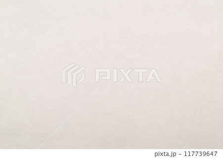 和紙によるシンプルな背景素材（白色・無地） 117739647