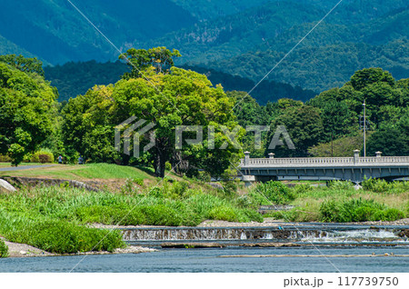 真夏の京都鴨川風景 117739750