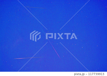 ペルセウス座流星群 117739913