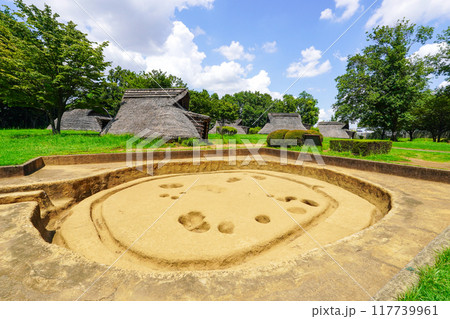 竪穴住居の発掘調査時の姿（横浜市 大塚歳勝土遺跡公園） 117739961
