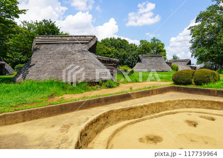 竪穴住居の発掘調査時の姿（横浜市 大塚歳勝土遺跡公園） 117739964