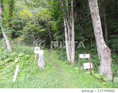五百羅漢入口 遠野市 五百羅漢入口 遠野市 117740982