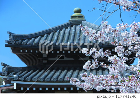サクラの花枝と、背後にお堂の瓦屋根 117741240