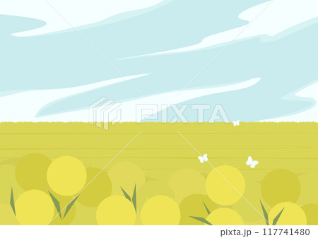 Rural landscape scene with dandelion meadow. Skyline with clouds. Alpine Field Rural landscape scene with dandelion meadow. Skyline with clouds. Alpine Field 117741480