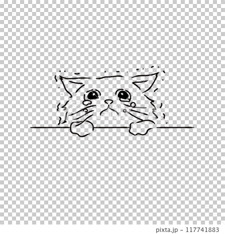 A sorry cat apologizing with tears in his eyes 117741883