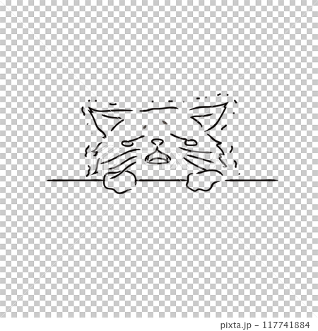 Crying and apologizing, sorry cat Crying and apologizing, sorry cat 117741884